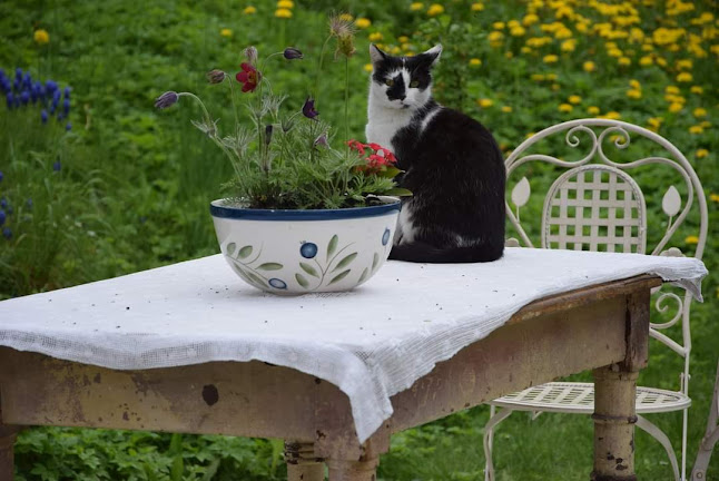 Comentarii opinii despre Domov pokojného stáří Naší Paní