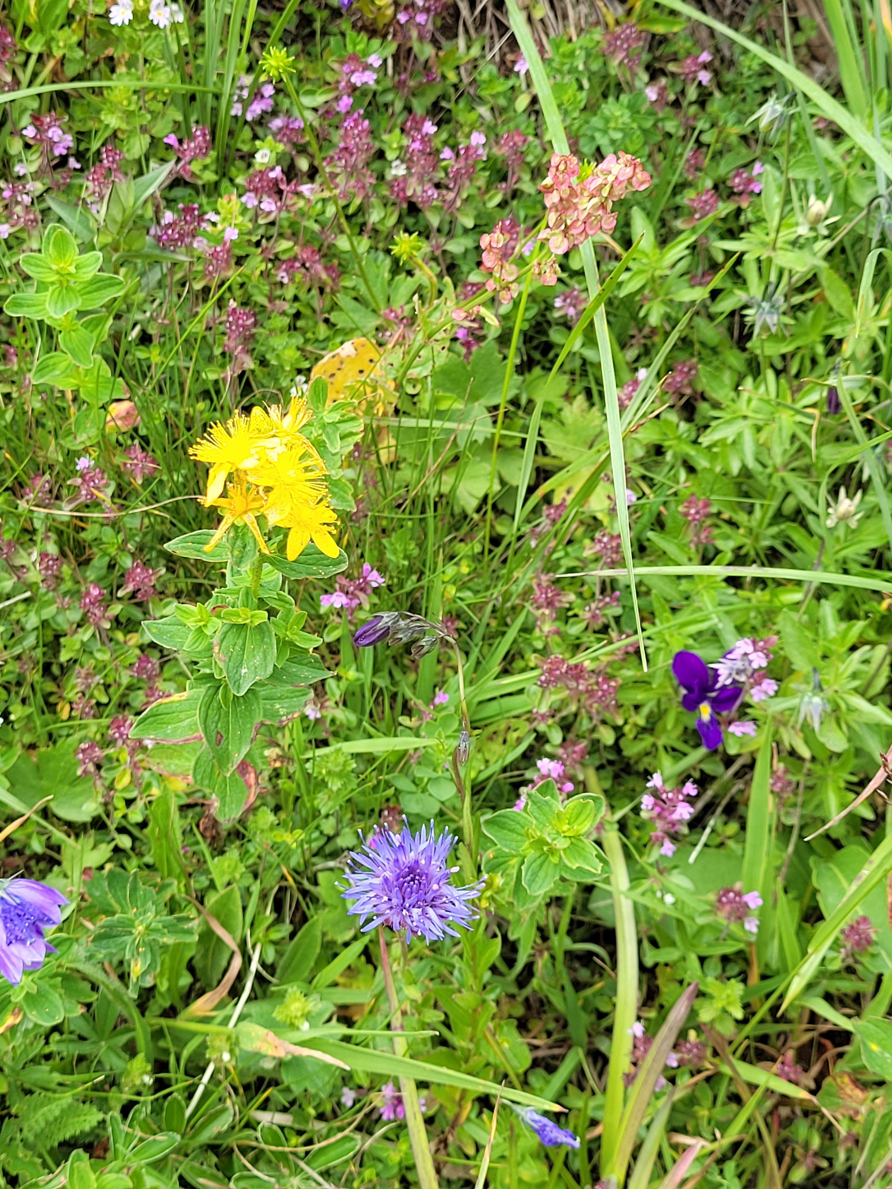 Photo n° 25 de l'avis de Anne.a fait le 26/07/2023 à 16:25
