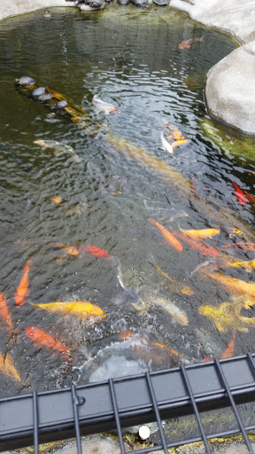 Zoo «Alligator Adventure», reviews and photos, 4604 Hwy 17 S, North Myrtle Beach, SC 29582, USA