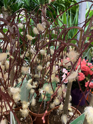 Home Improvement Store «The Home Depot», reviews and photos