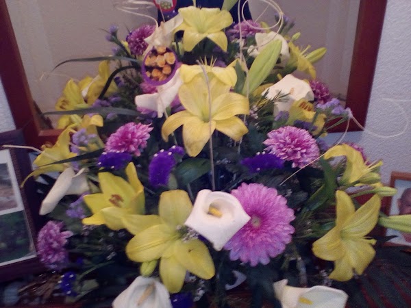 Floristería los Tulipanes