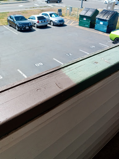 Paint Store «Sherwin-Williams Paint Store», reviews and photos, 15833 1st Avenue South, Burien, WA 98148, USA