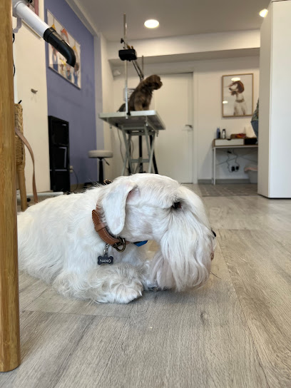 TOMMY Perruqueria Canina - Servicios para mascota en Barcelona