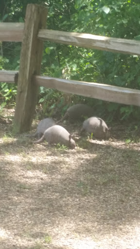 Park «Dot Thomas Park», reviews and photos, 1401 S Clark Rd, Cedar Hill, TX 75104, USA