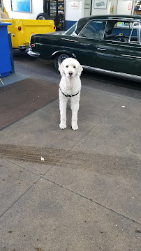 Pete's, Inc. - Photo 9 - Car repair in San Francisco, CA, San Francisco