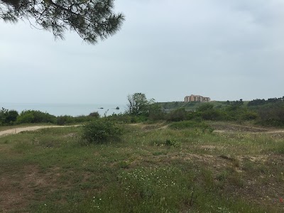 Photos of Camping Koral