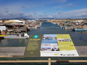 Photo n°90 de Centre Conchylicole à Leucate ()