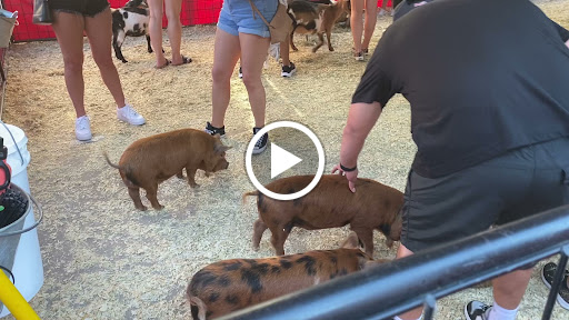 Winery «Landon Winery», reviews and photos, 101 N Kentucky St, McKinney, TX 75069, USA