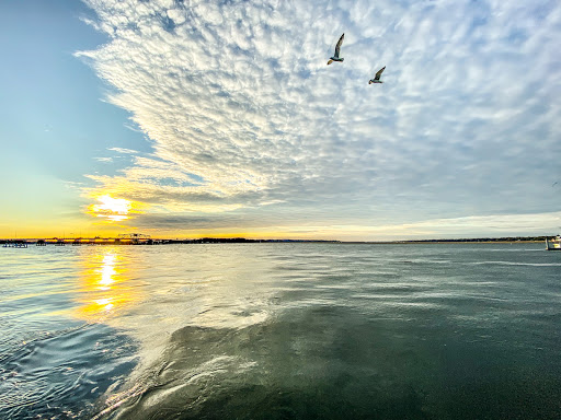 Park «Henry C. Chambers Waterfront Park», reviews and photos, Bay St, Beaufort, SC 29902, USA