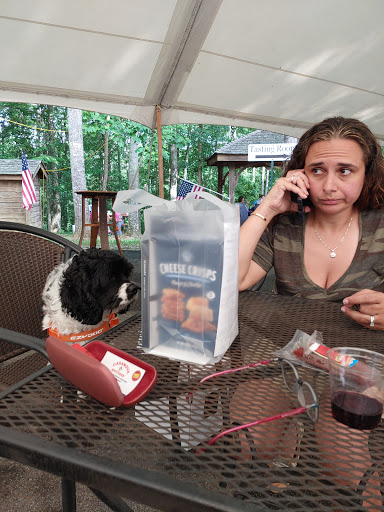 Winery «Amber Falls Winery and Cellars», reviews and photos, 794 Ridgetop Rd, Hampshire, TN 38461, USA