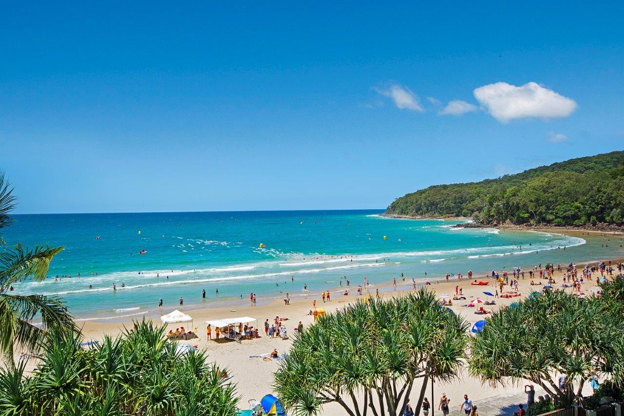 Foto di Noosa Heads Main Beach con costa lunga e dritta