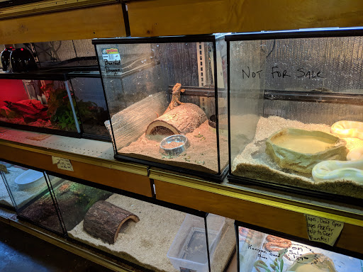 Pet Store «A to Z Pets», reviews and photos, 16010 SE Division St, Portland, OR 97236, USA