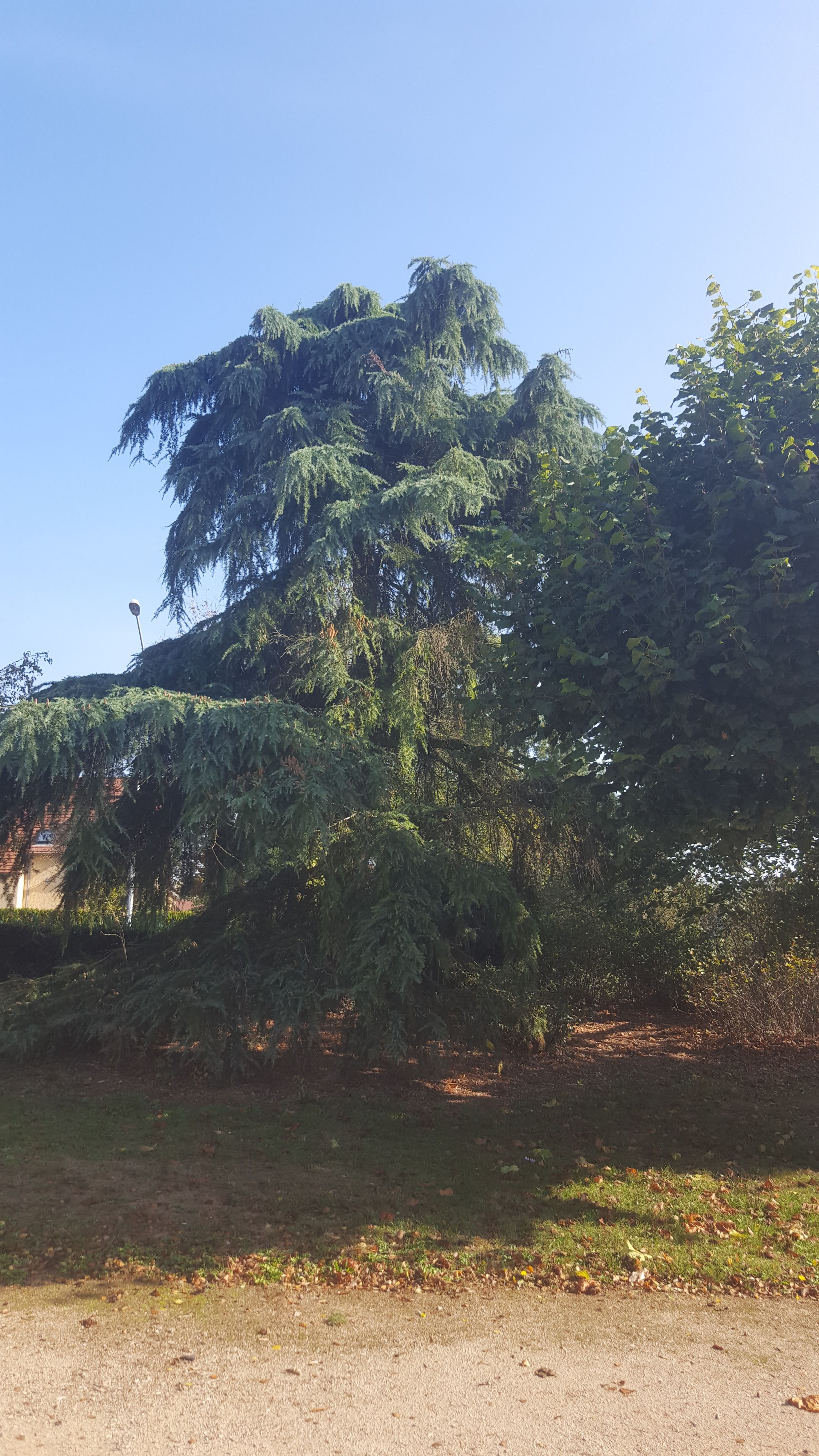 Photo n° 8 de l'avis de Cathie.a fait le 20/10/2018 à 14:57