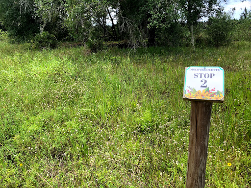 Nature Preserve «Duette Preserve», reviews and photos, 2649 Rawls Rd, Parrish, FL 34219, USA