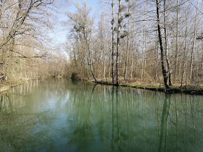 Coin Des Canards à Mirebeau-sur-Bèze