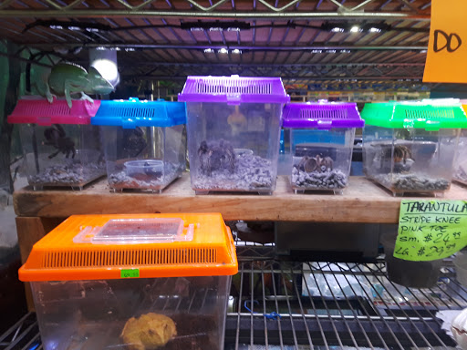 Pet Store «Fish-N-Pets Unlimited», reviews and photos, 11710 Bissonnet St, Houston, TX 77099, USA