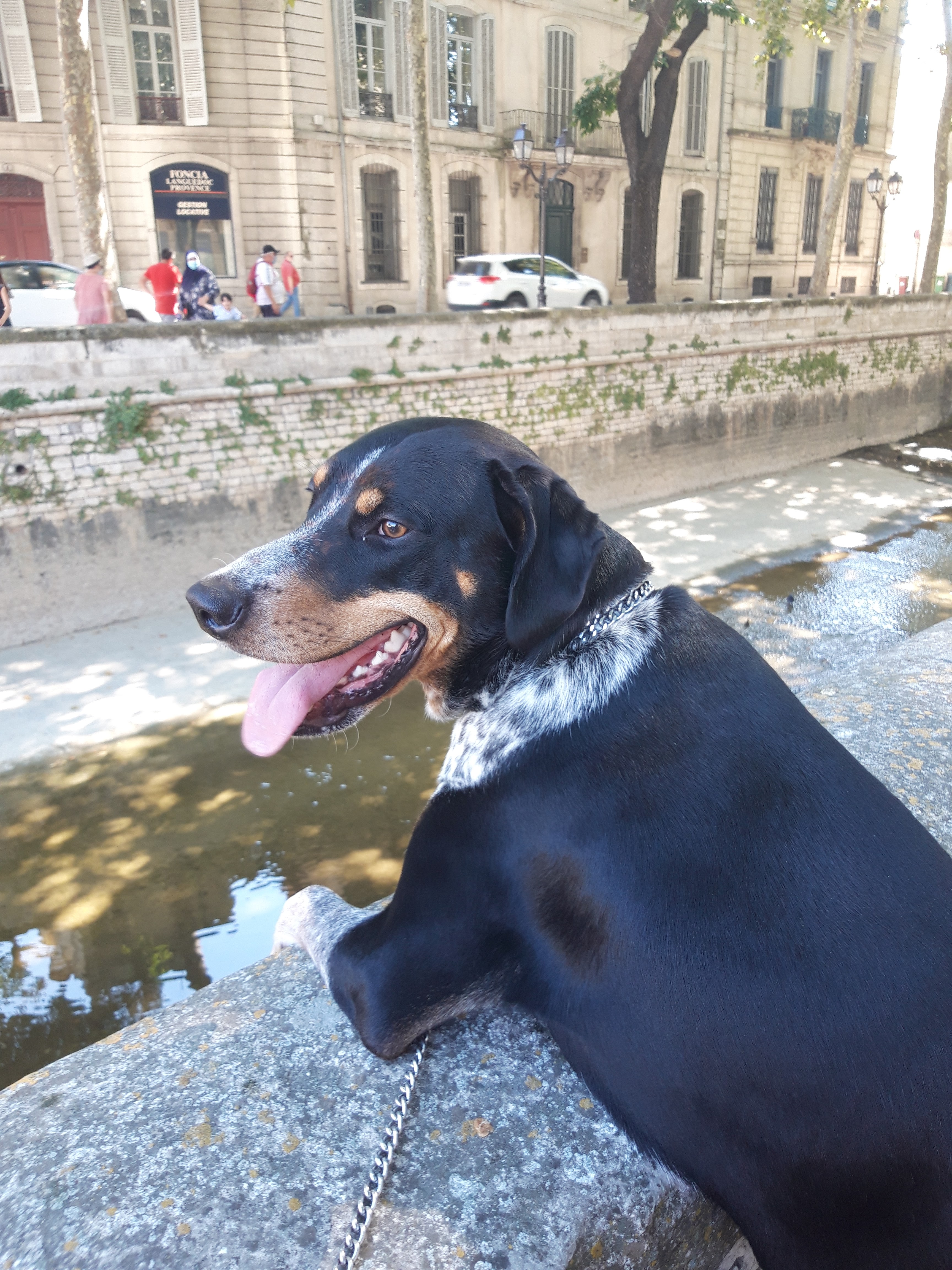 Photo n° 1 de l'avis de Kathye.a fait le 15/09/2020 à 14:07