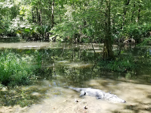 Coffee Shop «Coffee House», reviews and photos, 6490 LA-22, Sorrento, LA 70778, USA