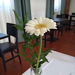 Photo n°6 de l'avis de Lella.o fait le 12/09/2021 à 20:42 sur le  Bistrot della Villa à Mamiano