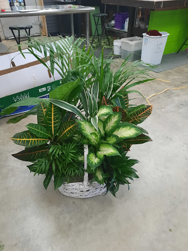 Florist «Lake City Florist», reviews and photos, 796 W Duval St, Lake City, FL 32055, USA