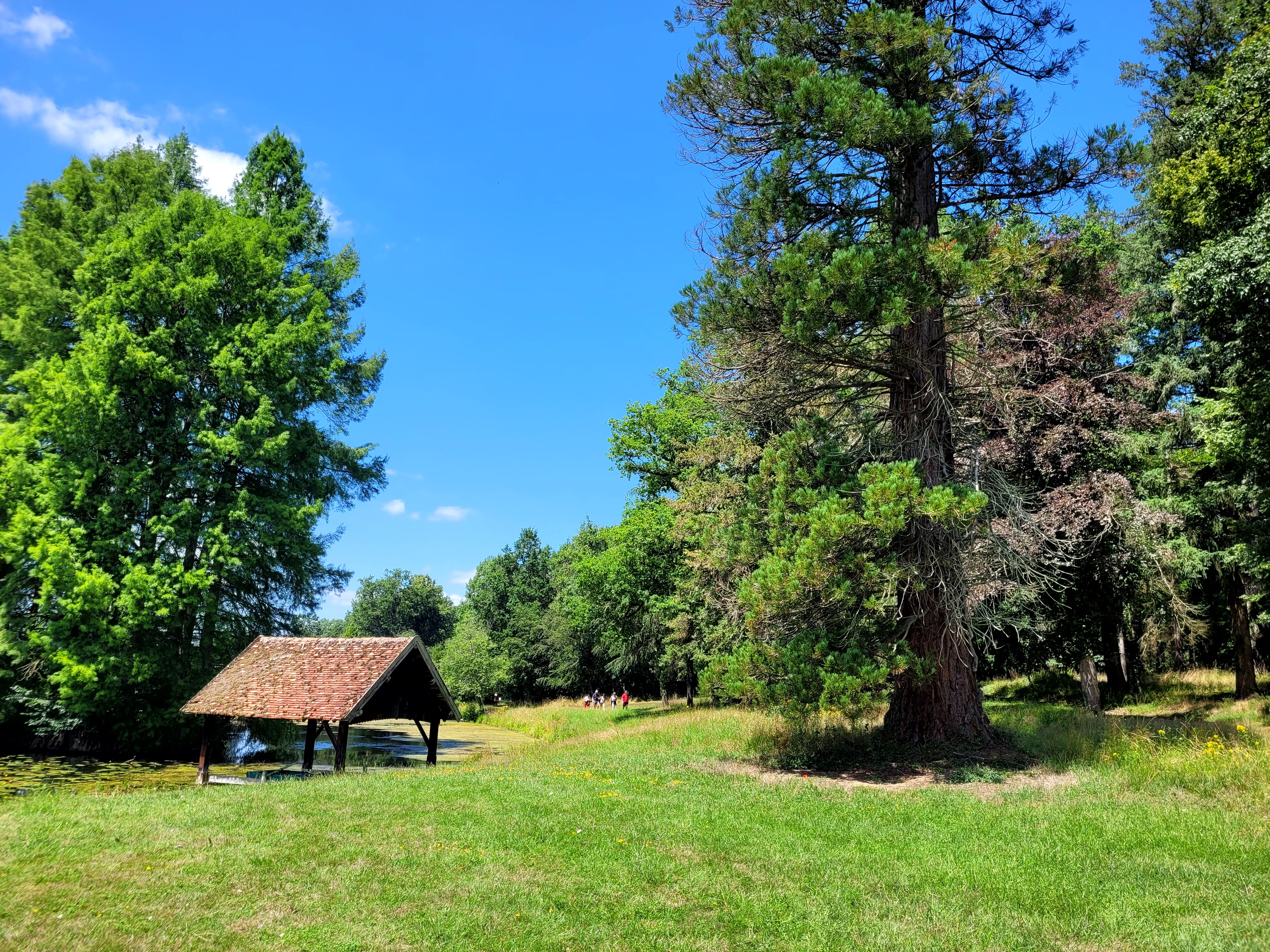 Photo n° 4 de l'avis de Michèle.i fait le 11/12/2022 à 12:04