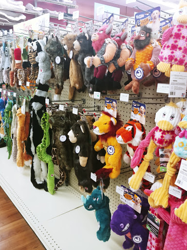 Pet Supply Store «Pet Supermarket», reviews and photos, 3806 S Dale Mabry Hwy, Tampa, FL 33629, USA