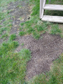 Landscaping 365 - Photo 9 - Car repair in Dublin, OH, Columbus