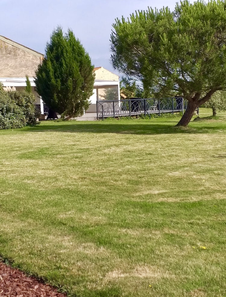 Photo n° 6 de l'avis de romain.e fait le 21/07/2019 à 16:17