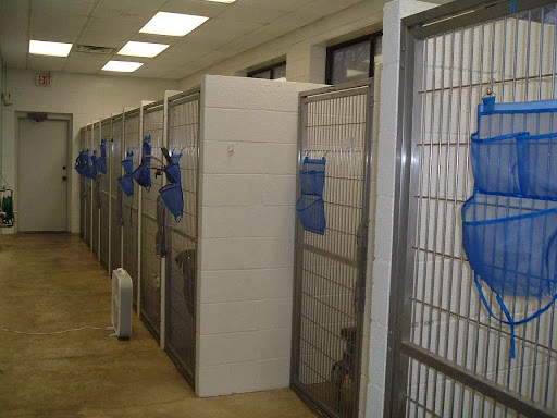 Westside Veterinary Clinic image