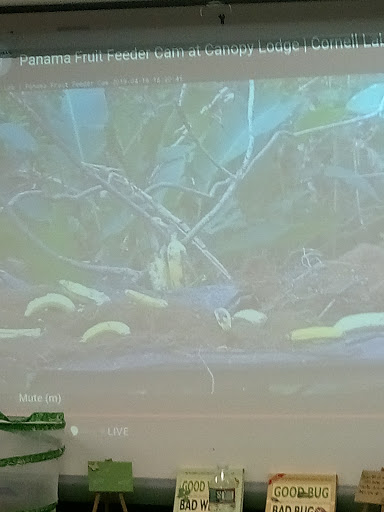 Park «Harford Glen Park», reviews and photos, 502 W Wheel Rd, Bel Air, MD 21015, USA