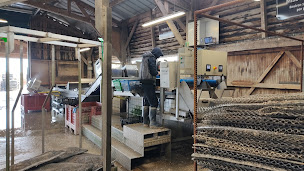 Photo n°6 de Huitres Cahue à Saint-Méloir-des-Ondes ()