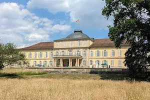 Hohenheimer Garden image