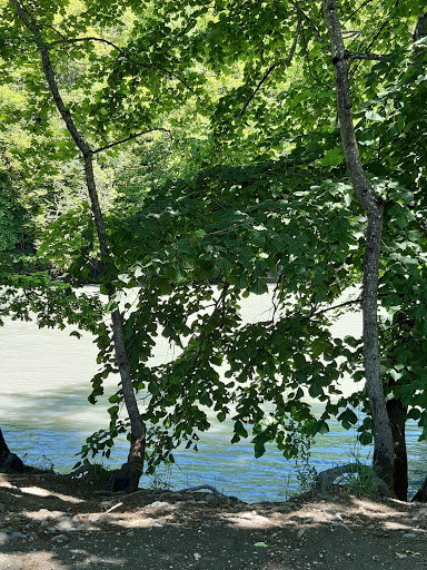 site_photo3