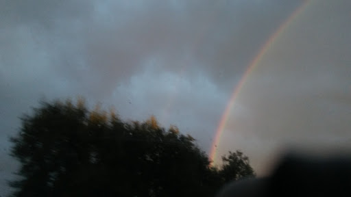 Auto Parts Store «NAPA Auto Parts - Riebes Auto Parts, LLC #315», reviews and photos, 1490 Bridge St, Yuba City, CA 95991, USA