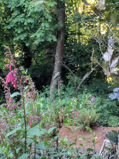 Park «Chism Beach Park», reviews and photos, 9600 SE 11th St, Bellevue, WA 98004, USA