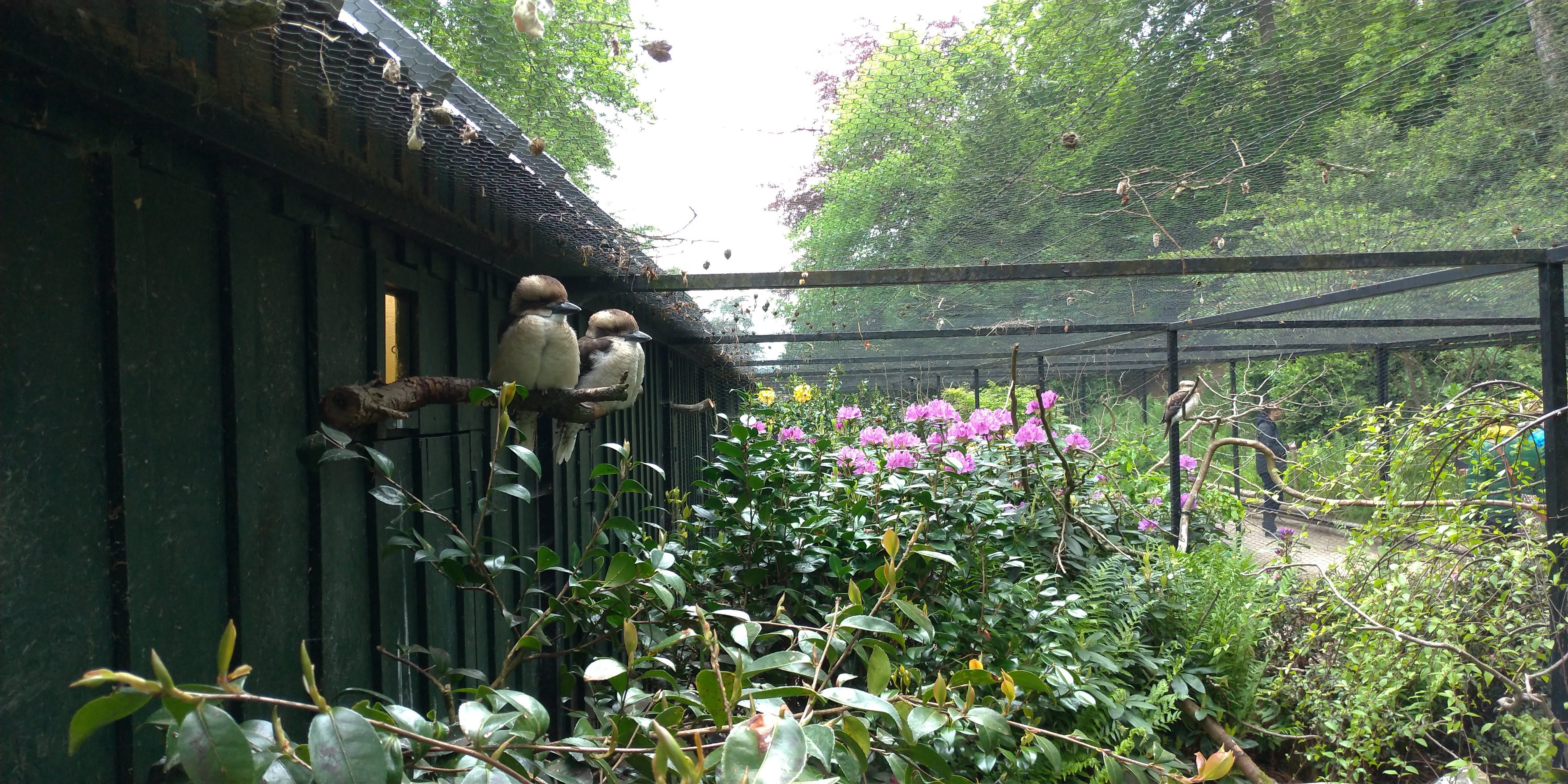 Photo n° 14 de l'avis de Maxime.E fait le 19/05/2019 à 20:15