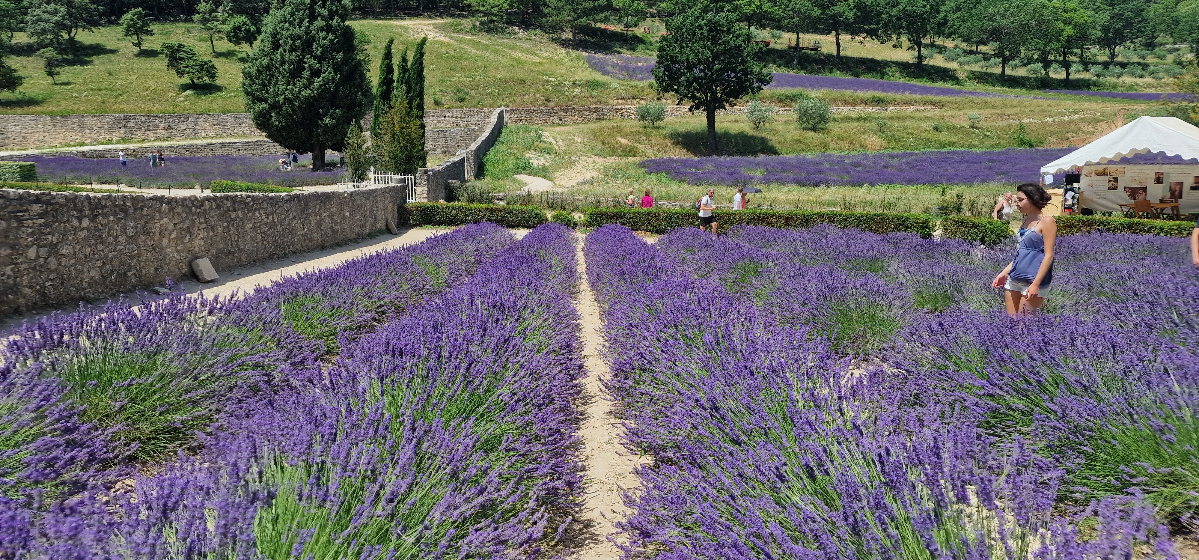 Photo n° 8 de l'avis de CHRISTINE.N fait le 15/07/2023 à 13:49