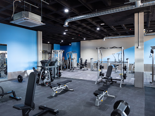 BLUE FITNESS GYMS