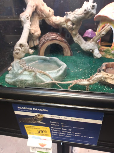 Pet Supply Store «PetSmart», reviews and photos, 1954 Santa Rosa Ave, Santa Rosa, CA 95407, USA