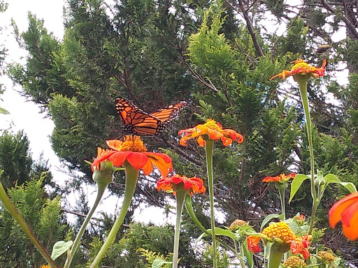 Historical Place Museum «Historic New England Hamilton House», reviews and photos, 40 Vaughans Ln, South Berwick, ME 03908, USA
