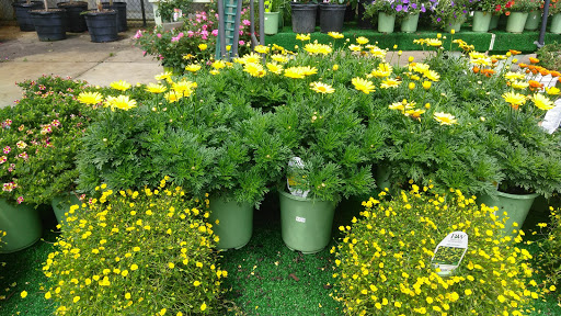 Hardware Store «Hagan Ace Hardware», reviews and photos, 6567 US-90, Glen St Mary, FL 32040, USA