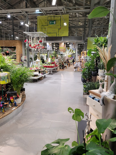 Pflanzen-Kölle Gartencenter GmbH & Co. KG Heilbronn unter Heilbronn, 