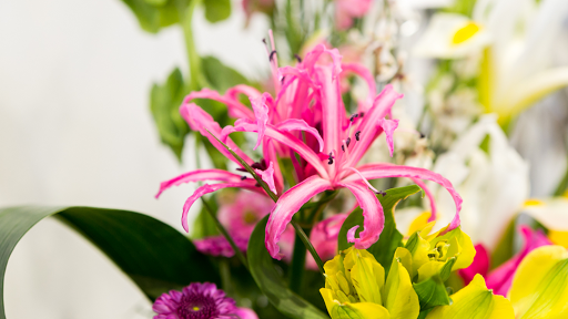 Florist «Watkins Flowers of Distinction», reviews and photos, 8490 Honeycutt Rd #108, Raleigh, NC 27615, USA