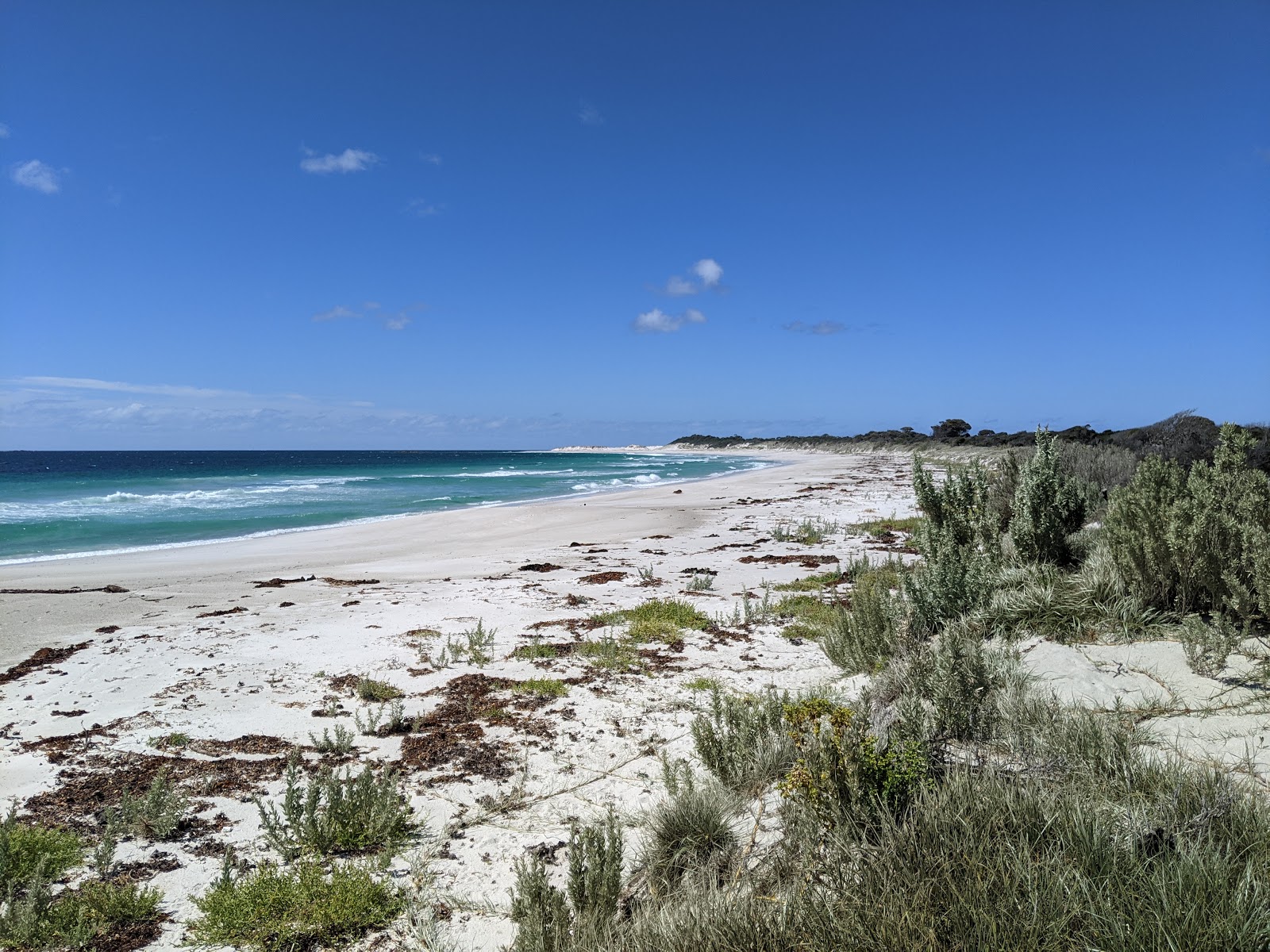 Foto von Mount William Beach mit weißer sand Oberfläche