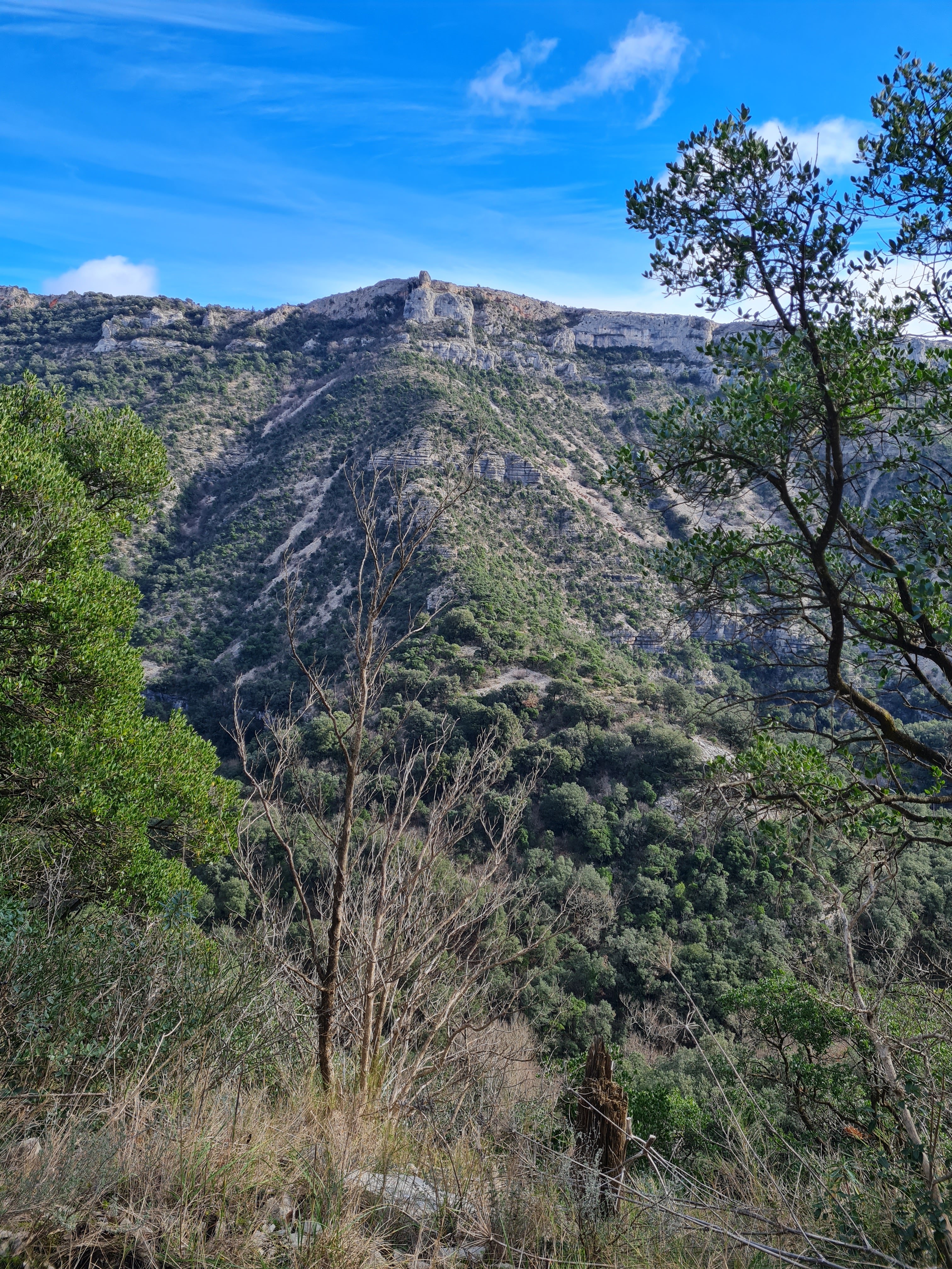 Photo n° 10 de l'avis de Aude.u fait le 30/01/2023 à 16:59