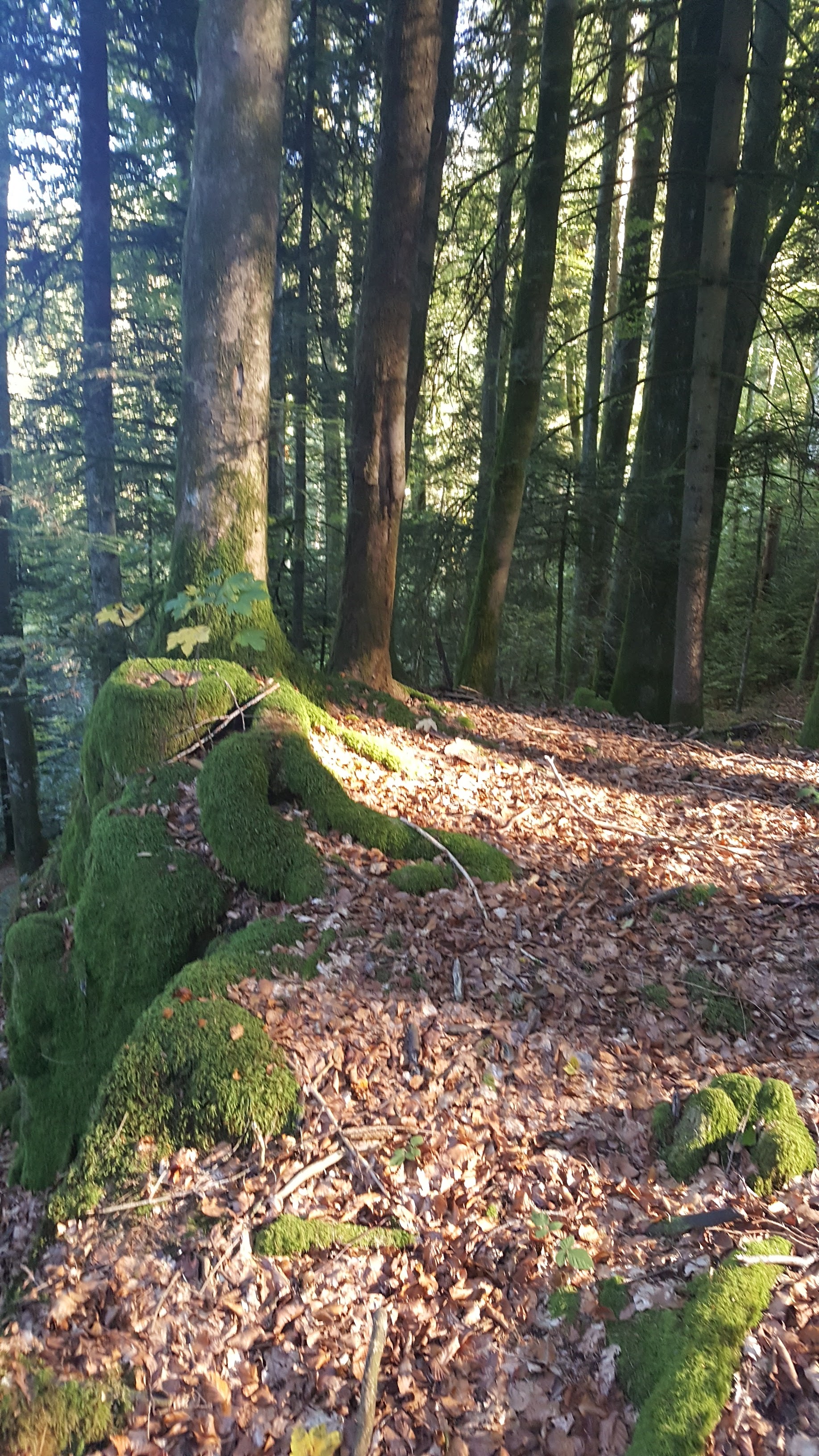 Photo n° 2 de l'avis de Léa. fait le 17/10/2018 à 10:52