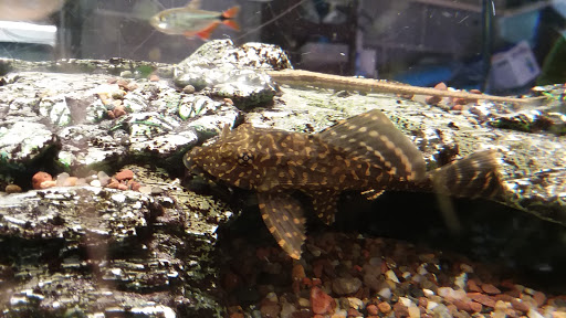 Pet Store «Marineland Pet Center», reviews and photos, 412 Oak Forest Dr, Onalaska, WI 54650, USA