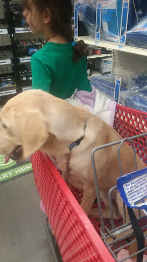 Home Improvement Store «Tractor Supply Co.», reviews and photos, 716 Mohawk St, Herkimer, NY 13350, USA