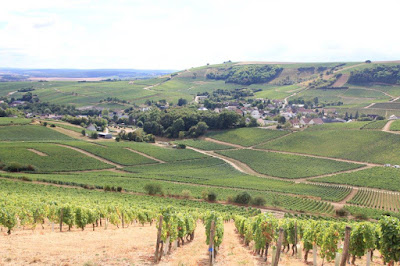 Vitagri à Crézancy-en-Sancerre
