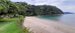 Foto de Praia do Pingo d’Água área selvagem